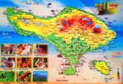 Travel Pasuruan Denpasar